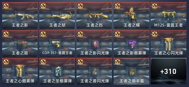 穿越火线：枪战王者2炫闪 24王者 313英雄武器 11英雄角色 608万化 大师SS