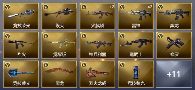 穿越火线（CF）21V武器 1V角色 8皮肤 可排位 专家