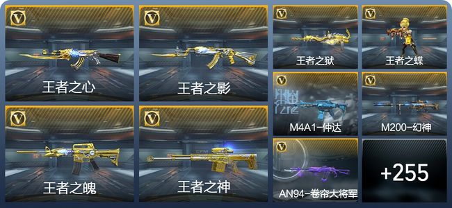 穿越火线：枪战王者13王者武器 264英雄武器 13英雄角色 210万化 枪神