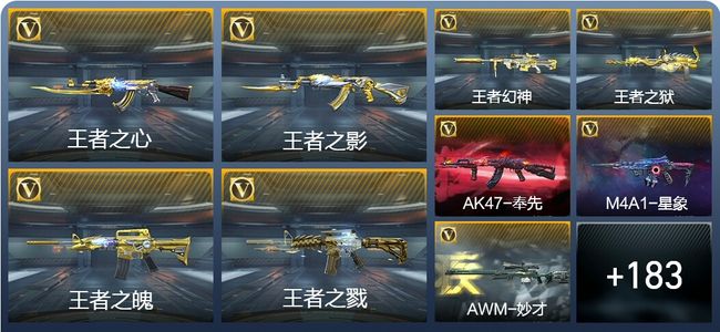 穿越火线：枪战王者14王者武器 192英雄武器 5英雄角色 500万化 专家