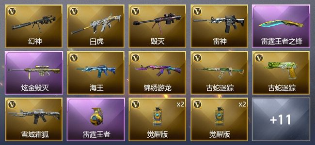 穿越火线（CF）2王者武器 1炫金武器 21V武器 4皮肤 可排位 枪王