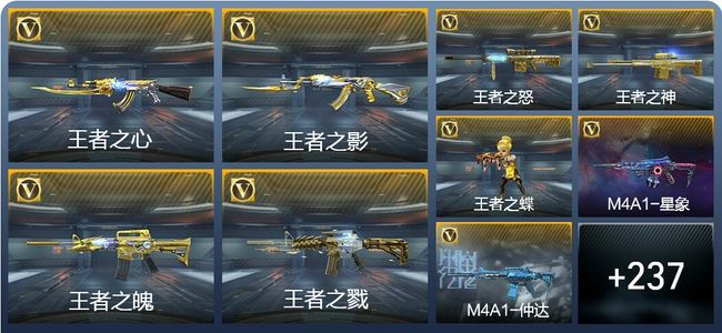 穿越火线：枪战王者23王者武器 246英雄武器 7英雄角色 573万化 专家S