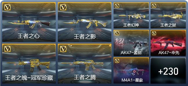 穿越火线：枪战王者18王者武器 239英雄武器 7英雄角色 410万化 专家S