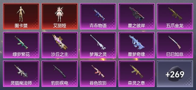 和平精英4载具 15升级枪 5粉装 185枪皮 114套装 6,5999热力 4印记 王牌