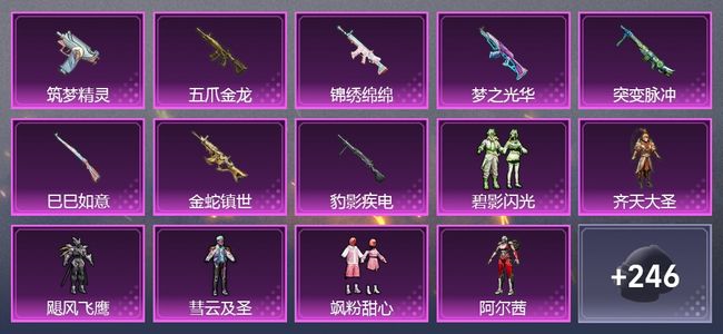 和平精英1载具 11升级枪 12粉装 327枪皮 226套装 王牌