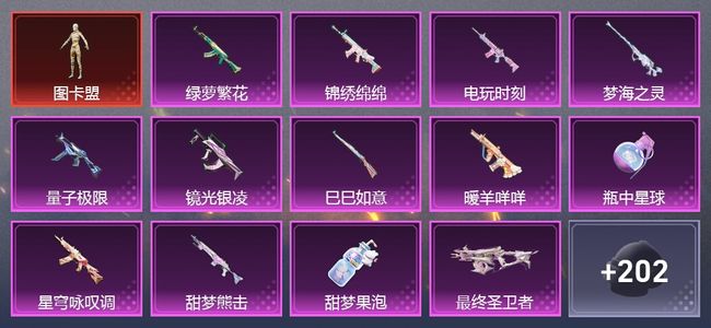 和平精英4载具 27升级枪 17粉装 361枪皮 246套装 王牌