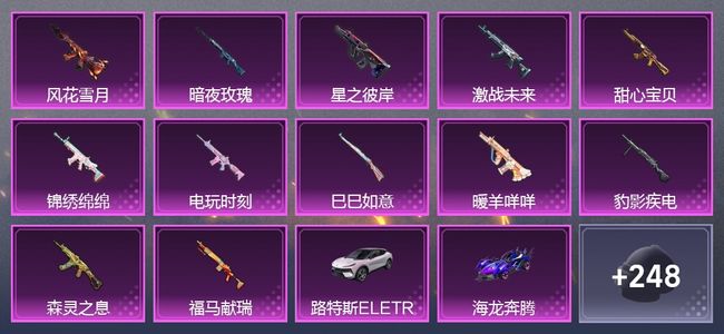和平精英4载具 12升级枪 11粉装 313枪皮 198套装 0印记
