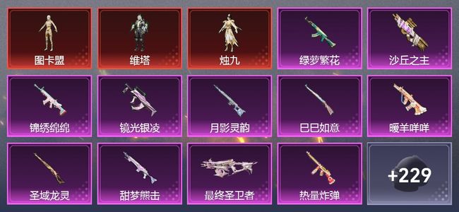 和平精英4载具 12升级枪 9粉装 267枪皮 207套装 0印记