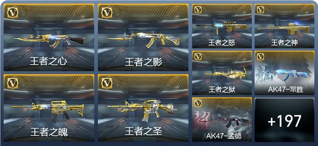 穿越火线：枪战王者23王者武器 206英雄武器 14英雄角色 471万化 专家