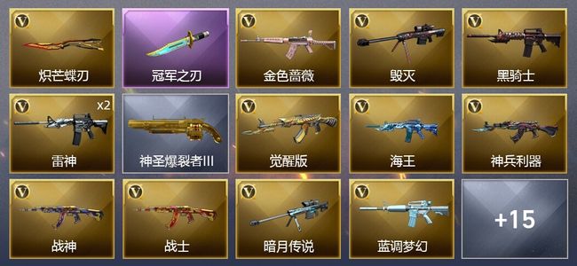 穿越火线（CF）22V武器 22皮肤 可排位 新锐