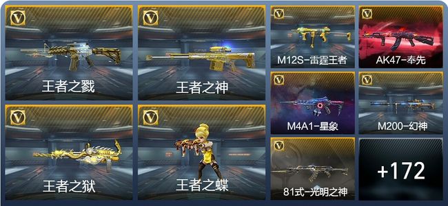 穿越火线：枪战王者V7 17王者武器 193英雄武器 8英雄角色 356万化 大师