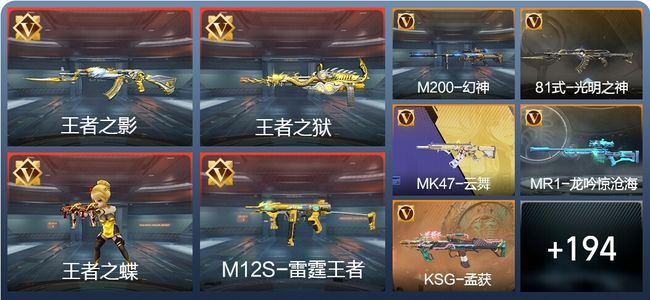 穿越火线：枪战王者V5 13王者 244英雄武器 8英雄角色 370万化 专家S