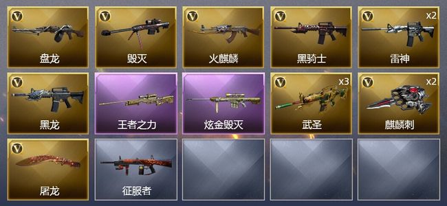 穿越火线（CF）1王者武器 1炫金武器 13V武器 1皮肤 可排位 新锐
