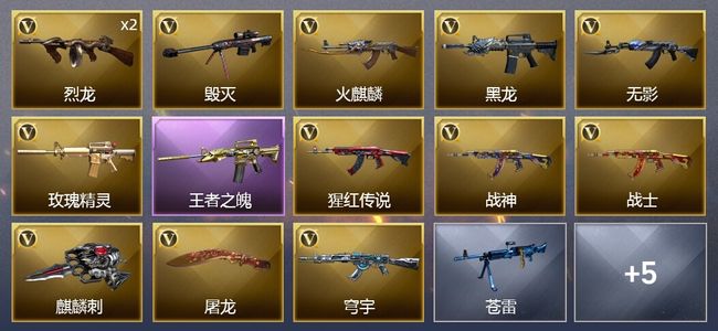 穿越火线（CF）1王者武器 13V武器 8皮肤 可排位