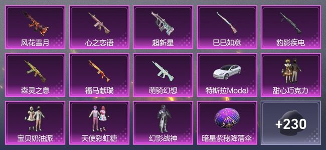和平精英1载具 8升级枪 4粉装 156枪皮 103套装 5,0665热力 皇冠
