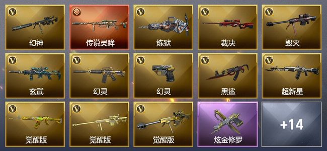 穿越火线（CF）1传说武器 1炫金武器 42V武器 1V角色 5皮肤 可排位 枪王