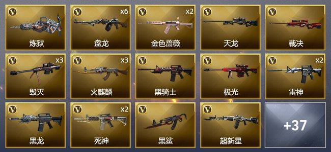 穿越火线（CF）1王者武器 1炫金武器 46V武器 14皮肤 可排位 大师