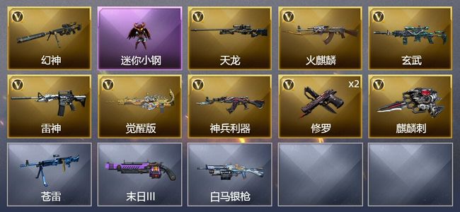 穿越火线（CF）10V武器 5皮肤 可排位 新锐