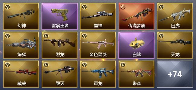 穿越火线（CF）1传说武器 1王者武器 80V武器 2V角色 20皮肤 可排位 枪王