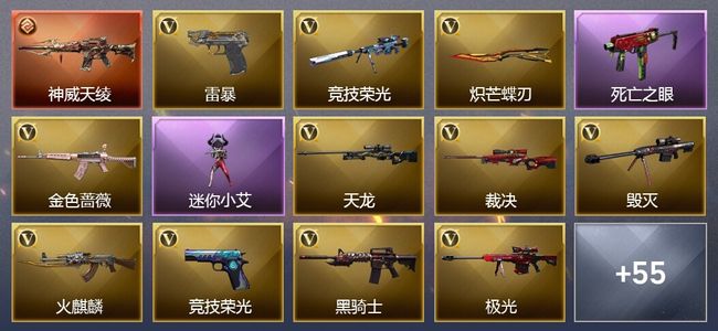 穿越火线（CF）1传说武器 2王者武器 2炫金武器 77V武器 4V角色 31皮肤 可排位 枪王