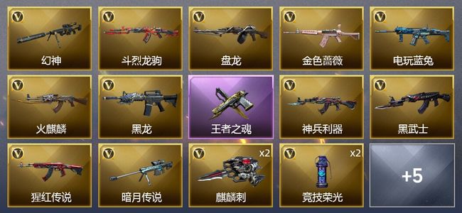 穿越火线（CF）1王者武器 19V武器 1皮肤 可排位 宗师