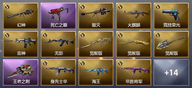 穿越火线（CF）1王者武器 25V武器 10皮肤 可排位 新锐