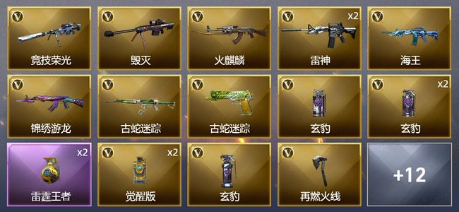 穿越火线（CF）1王者武器 25V武器 5皮肤 可排位 传奇