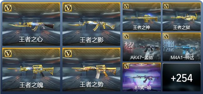 穿越火线：枪战王者V8 22王者武器 263英雄武器 10英雄角色 498万化 枪皇SSS