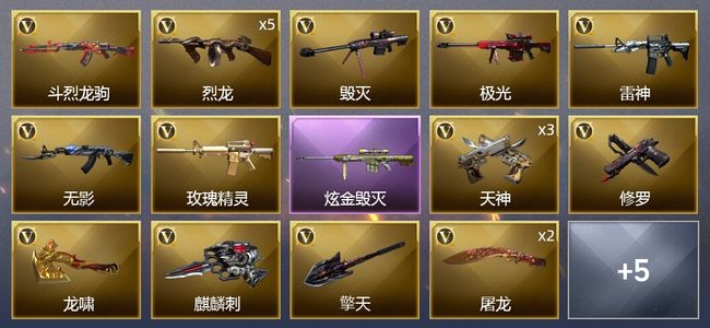 穿越火线（CF）1炫金武器 21V武器 1V角色 9皮肤 可排位