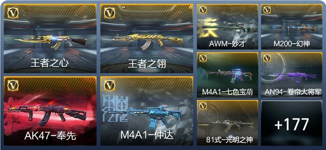 穿越火线：枪战王者V8 16王者武器 209英雄武器 6英雄角色 294万化 枪王SSS