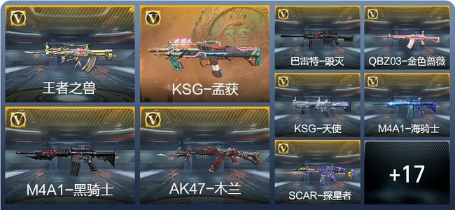 穿越火线：枪战王者V1 1王者武器 51英雄武器 新锐