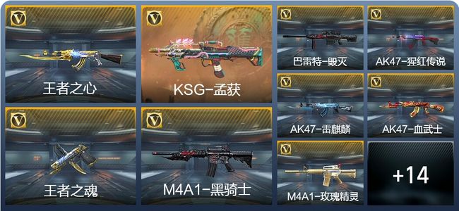 穿越火线：枪战王者V1 2王者武器 39英雄武器 新锐