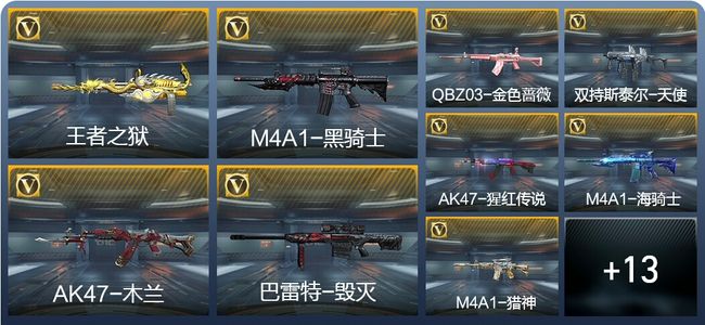 穿越火线：枪战王者V1 45英雄武器 新锐
