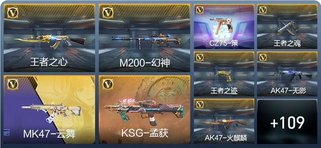 穿越火线：枪战王者V2 210英雄武器 新锐