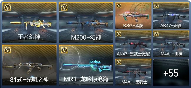 穿越火线：枪战王者V4 138英雄武器 新锐