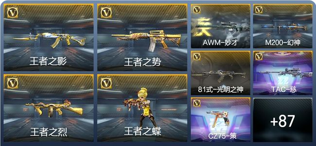 穿越火线：枪战王者【苹果版】V6 4王者武器 166英雄武器 新锐