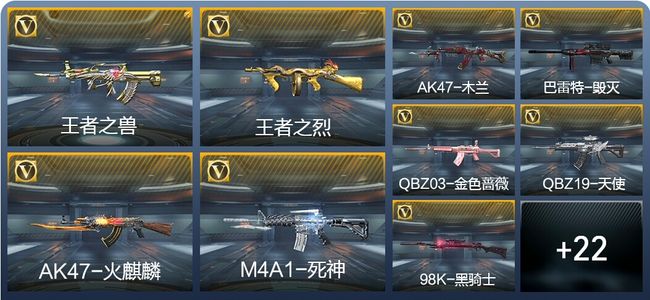 穿越火线：枪战王者V1 4王者武器 55英雄武器 新锐