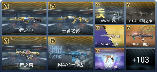 穿越火线：枪战王者V1 196英雄武器 新锐