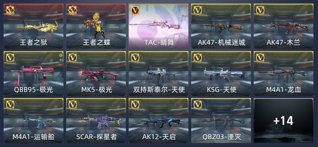 穿越火线：枪战王者2王者 28英雄武器 14万化 精英