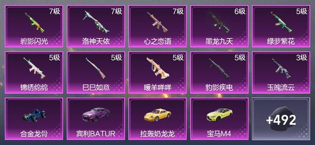 和平精英6载具 10升级枪 12粉装 6尾迹 278枪皮 214套装 10,6664热力 13印记 皇冠