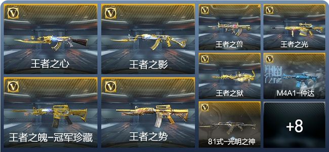 穿越火线：枪战王者V8 14王者武器 170英雄武器 6英雄角色 358万化 专家