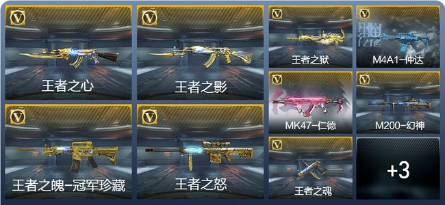 穿越火线：枪战王者V6 8王者武器 225英雄武器 2英雄角色 437万化 专家