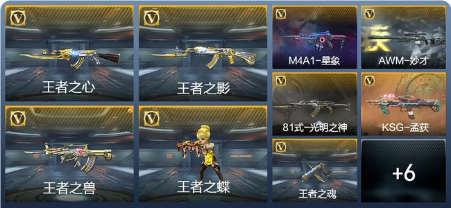 穿越火线：枪战王者V5 6王者武器 254英雄武器 6英雄角色 498万化 专家