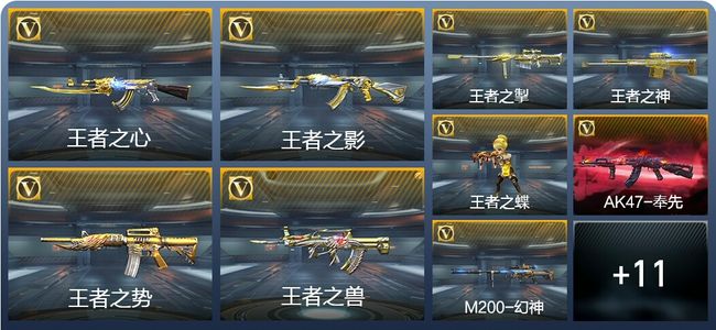 穿越火线：枪战王者V5 14王者武器 221英雄武器 6英雄角色 438万化 专家