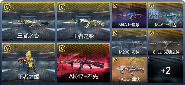 穿越火线：枪战王者V6 4王者武器 161英雄武器 1英雄角色 219万化 专家