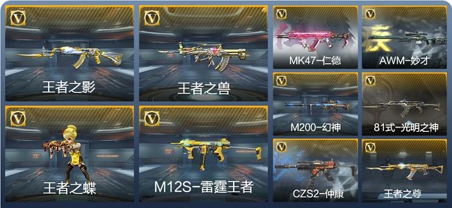 穿越火线：枪战王者V1 5王者武器 161英雄武器 5英雄角色 249万化 专家