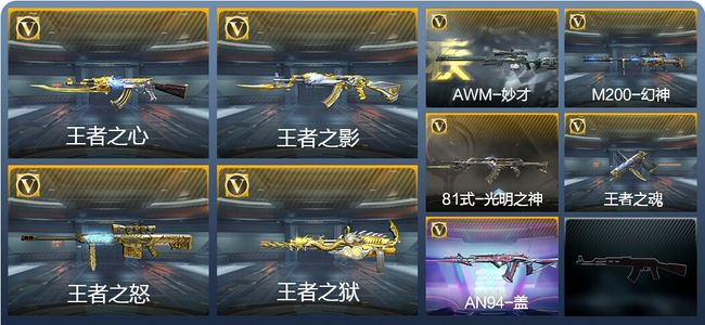 穿越火线：枪战王者V6 5王者武器 235英雄武器 2英雄角色 428万化 专家