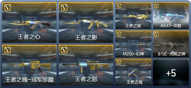 穿越火线：枪战王者V7 10王者武器 156英雄武器 5英雄角色 344万化 专家