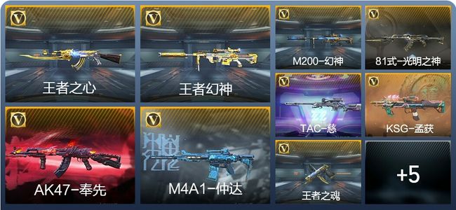穿越火线：枪战王者V7 5王者武器 209英雄武器 5英雄角色 318万化 专家