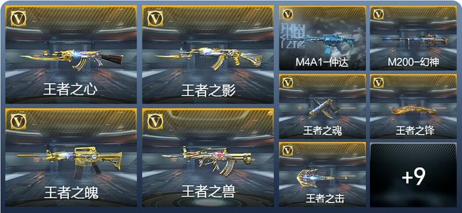 穿越火线：枪战王者V7 12王者武器 201英雄武器 5英雄角色 437万化 专家